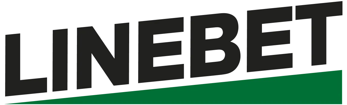 Partner 6